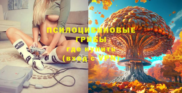 соль курить ск Алексин