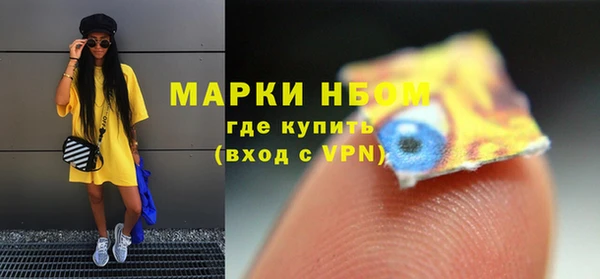 стаф Алзамай