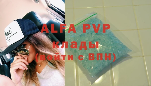 стаф Алзамай