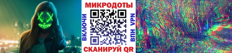 Псилоцибиновые грибы Psilocybine cubensis  Аркадак 
